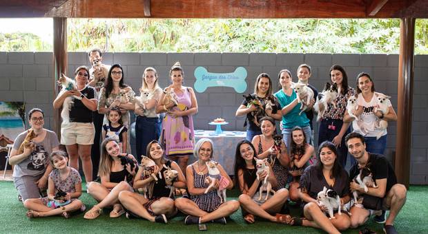 Eventos de Encontro Chihuahuas - Gangue dois Chius