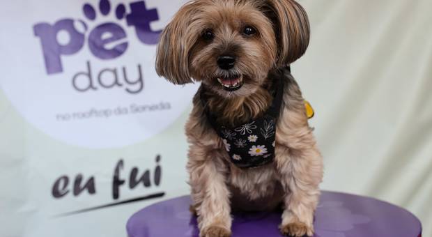 Eventos de PETDAY SONEDA | PADARIA PET