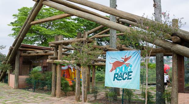 Eventos de Dog Race 2017