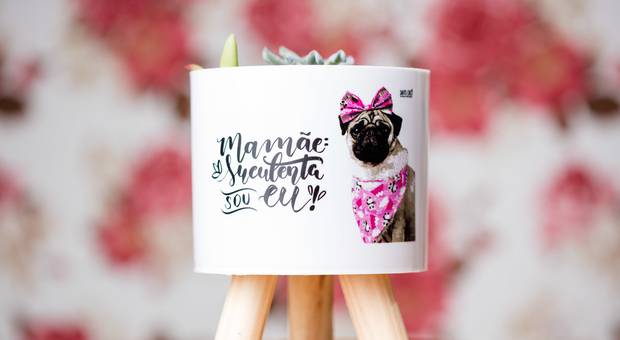 Ensaios Estúdio de Ensaio Dia das Mães - Mãe de Pet