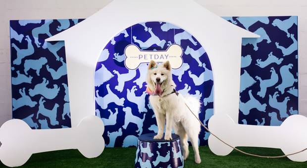 Eventos de PETDAY Galleria Shopping Campinas