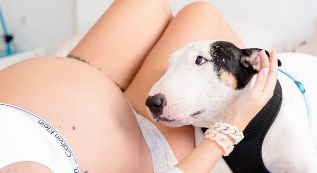 Gestante de Ensaio Gestante em Casa - Vicente e Heitor