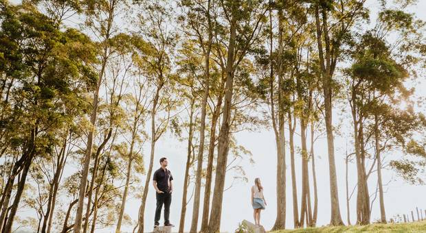 Ensaio de Vivi e Mello