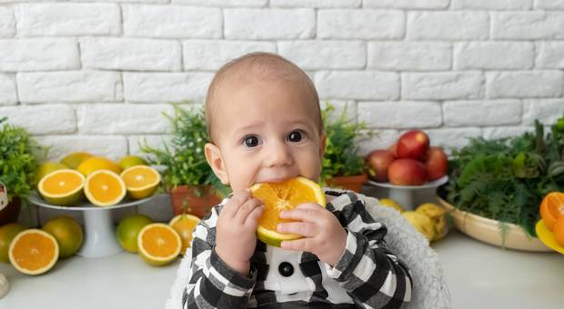 Acompanhamento do bebê de 6 meses do Davi: Uma aventura cheia de novos sabores!