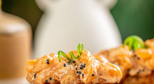 Fotografia Gastronômica de Noema Kitchen