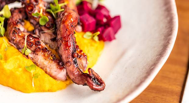 Fotografia Gastronômica de Terre