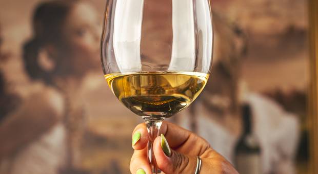 Fotografia Gastronômica de Antonina