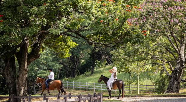 Casamento  de Stefanie & Pedro | Pré Wedding 