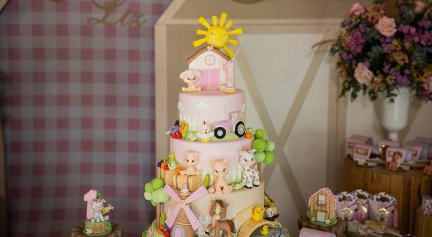 Recepção  de Lívia  & Liz | 1Ano