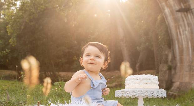 Smash the Cake de Noah