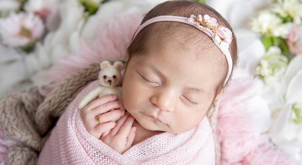 Newborn de Ensaio  Newborn da Giullia