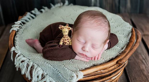 Newborn de Newborn Davi 