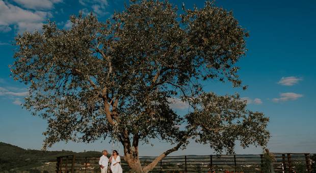 Sessão Pré-Wedding de Ensaio Fotográfico Gil e Sami | Vinícola Terrassos