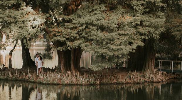 Sessão Pré-Wedding de Ensaio Pré-Wedding Mayara e Gustavo | Parque Estadual Alberto Löfgren - Horto Florestal