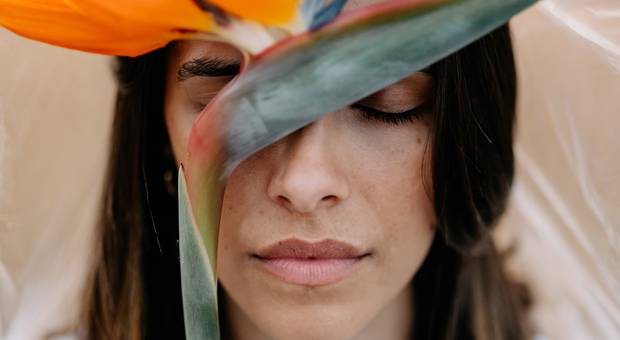 Sessão de The Shape of Freedom