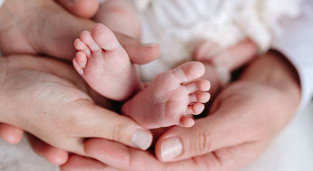 Newborn de Sara Newborn