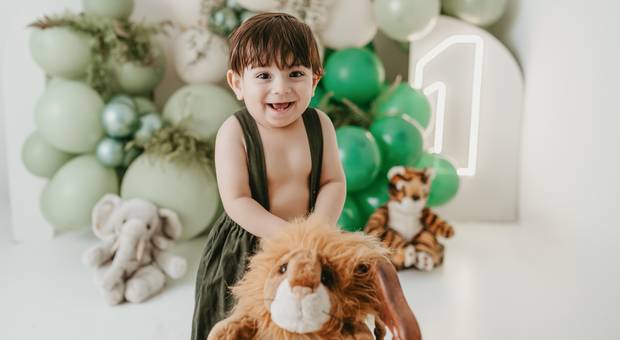 Smash The Cake de Lorenzo - Safari