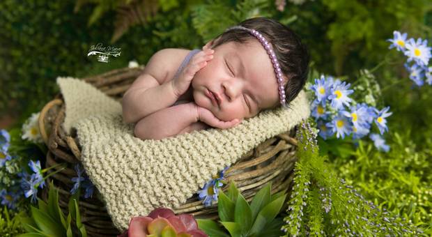 Newborn de Alice Newborn