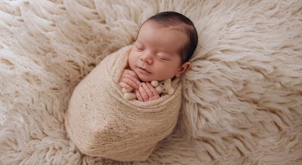 Newborn de Bento - Newborn