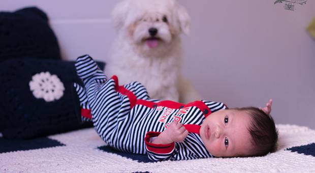 Newborn de Newborn Lifestyle Luiz Yoshihiro