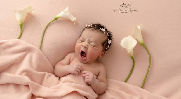 Newborn de Clara Newborn