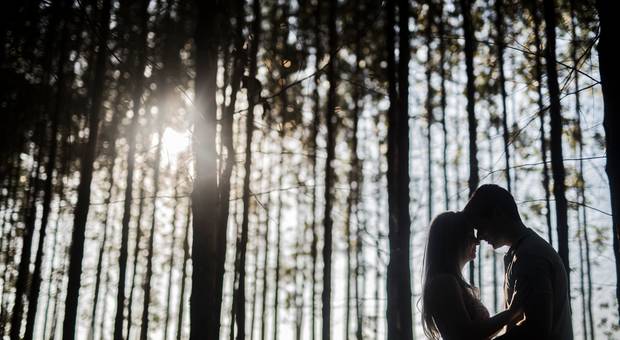 Ensaios de Renata + Lucas / Holambra