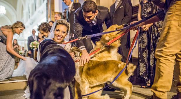 Casamentos de Karoline + Fabiano