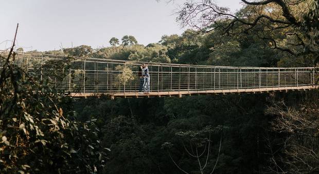 Ensaio de casal de Isis e Carlos