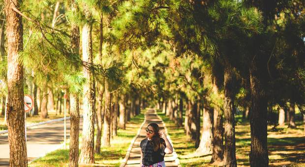 Ensaios de E-session Juliana Sanches Machado