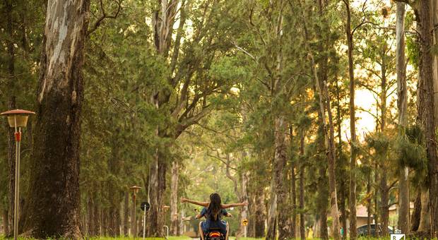 Ensaios de E-session Thaynara e Ivan