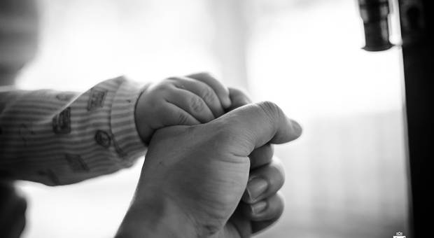 Ensaios de Família Aroldo Tavares