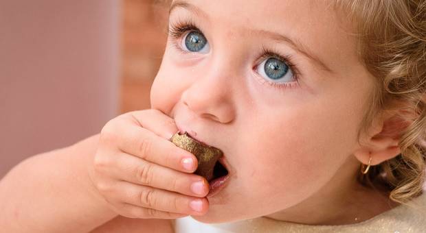 Festas Infantis de 2 aninhos Giovanna