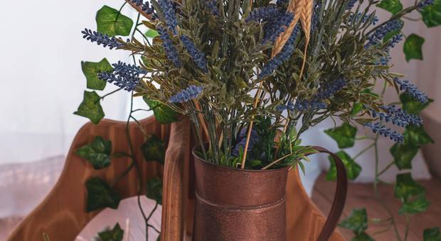 Temático de Mini Sessão dia das Mães 2020