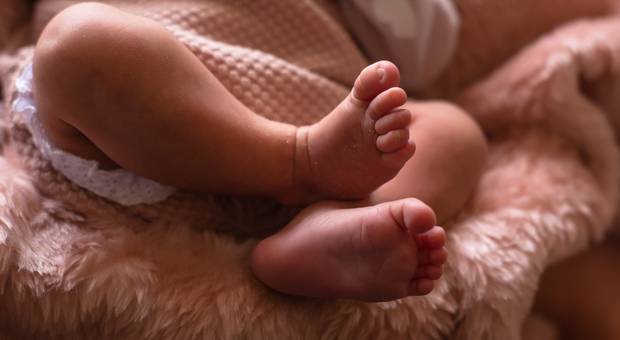 Lifestyle de Ana Cecília - 12 dias