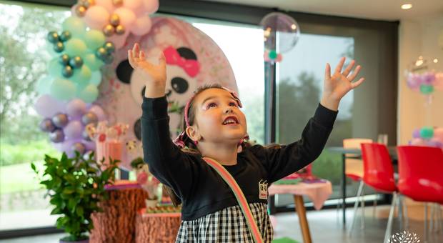 Festa Infantil de Sofia 4 Anos