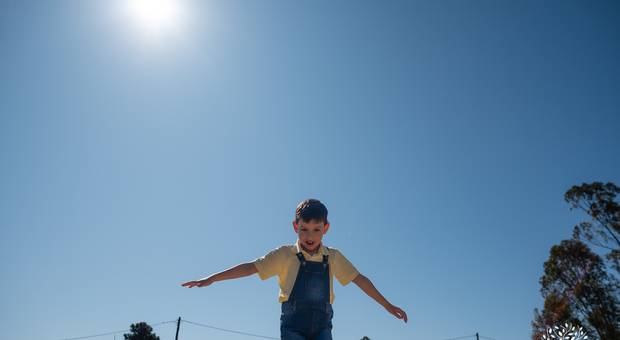Festa Infantil de Bernardo 7 anos