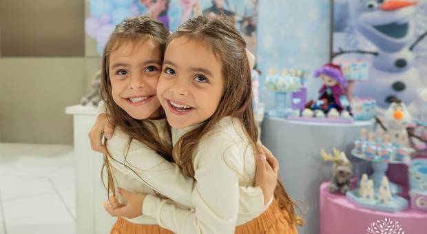 Festa Infantil de Ana Luisa e Maria Clara 6 anos