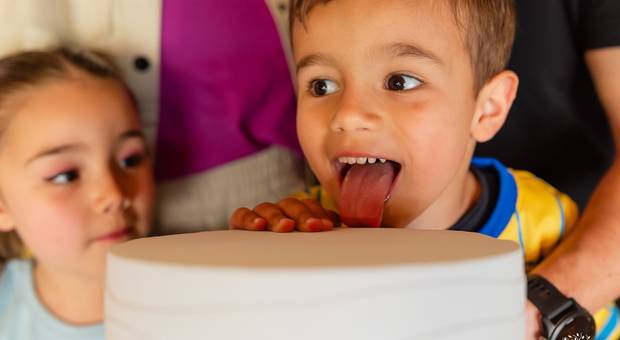 Festa Infantil de Marina 6 anos e Joaquim 4 anos