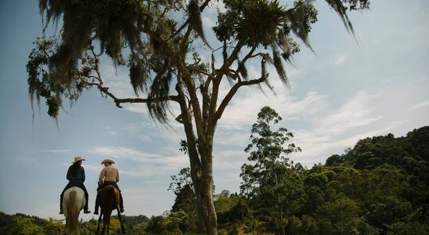 Casais de Maria Cecília • Danilo