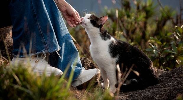 Externo de Maria Clara e Parkson – Silêncio, amor e homenagem