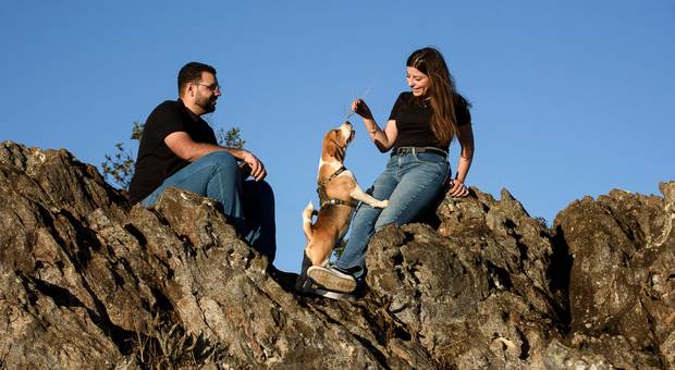 Externo de Laís, Eduardo e Sebastião - um beagle cheio de alegria