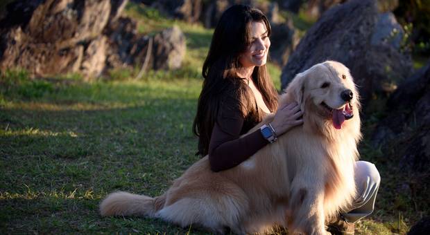 Pet de Ensaio Pet em BH: A energia do Golden Retriever Simba e a conexão com Marina