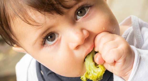 Infantil de Smash the Legumes - Theo 