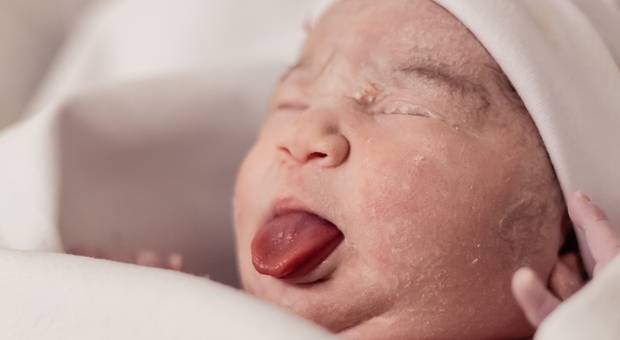 Parto de Chegueiii - Lavínia