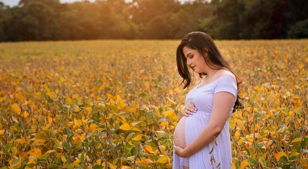 Ensaios de Gestantes de Ensaio de Gestante - Michelle Almeida