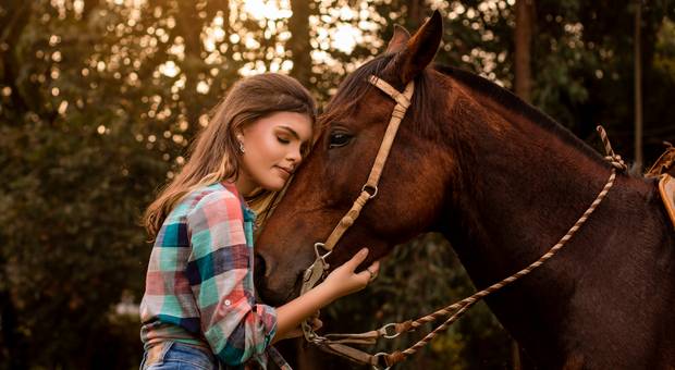 Book de 15 Anos de Book de 15 Anos - Manu Haubert