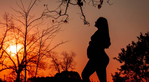 Ensaios de Gestantes de Ensaio de Gestante - Amanda Trevisan