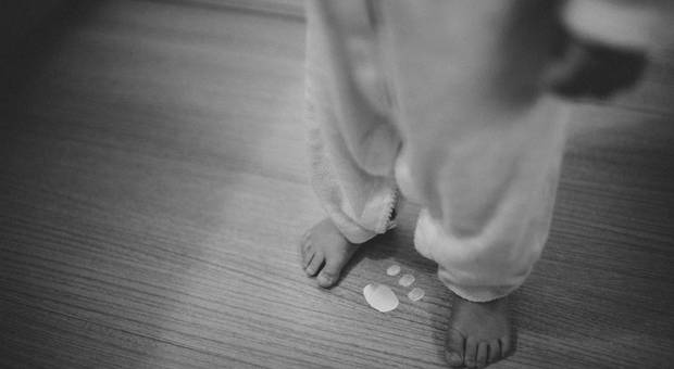 Famílias de PÁSCOA DAS AZEITONAS