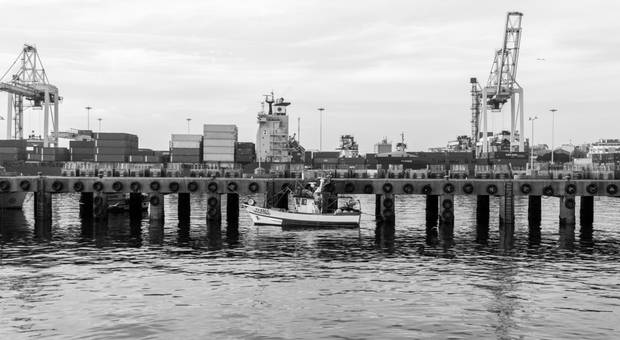 Fotografia  de Lota de Matosinhos