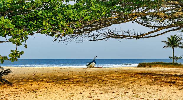 Decoração de Natureza & Paisagem